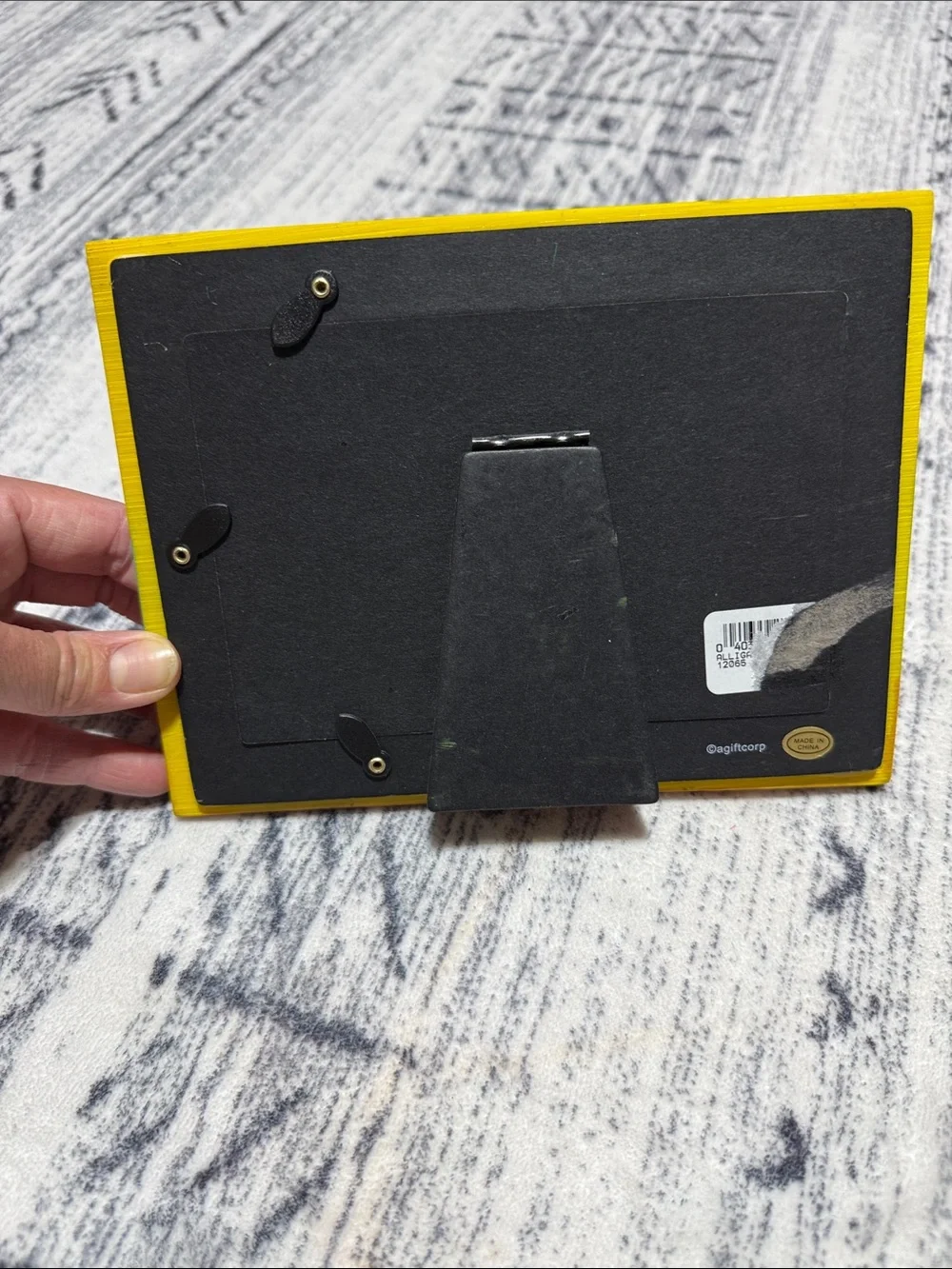 Ft. Lauderdale Alligator Picture Frame - Green/Yellow